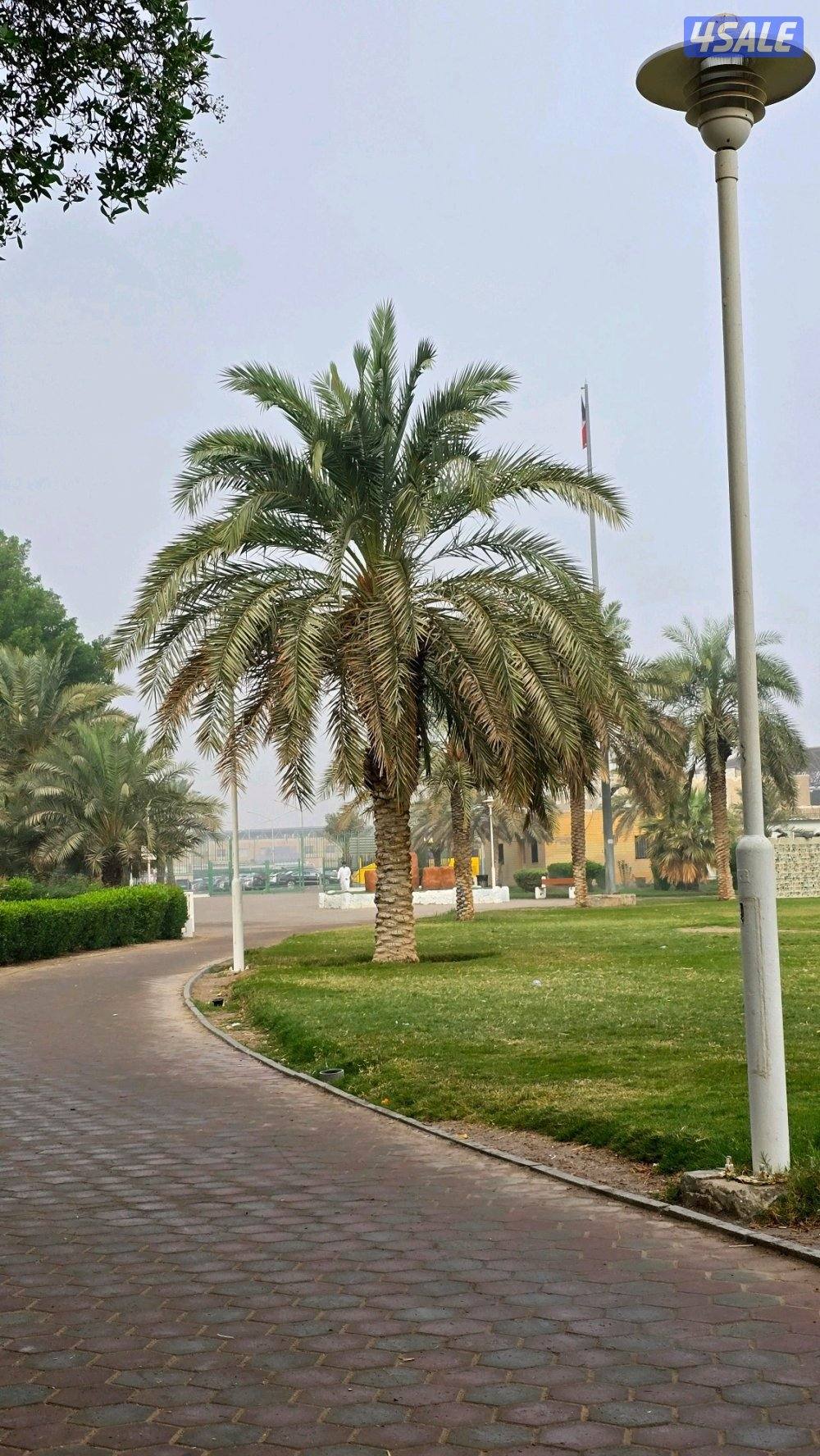 المطلاع مواقع مميزة0