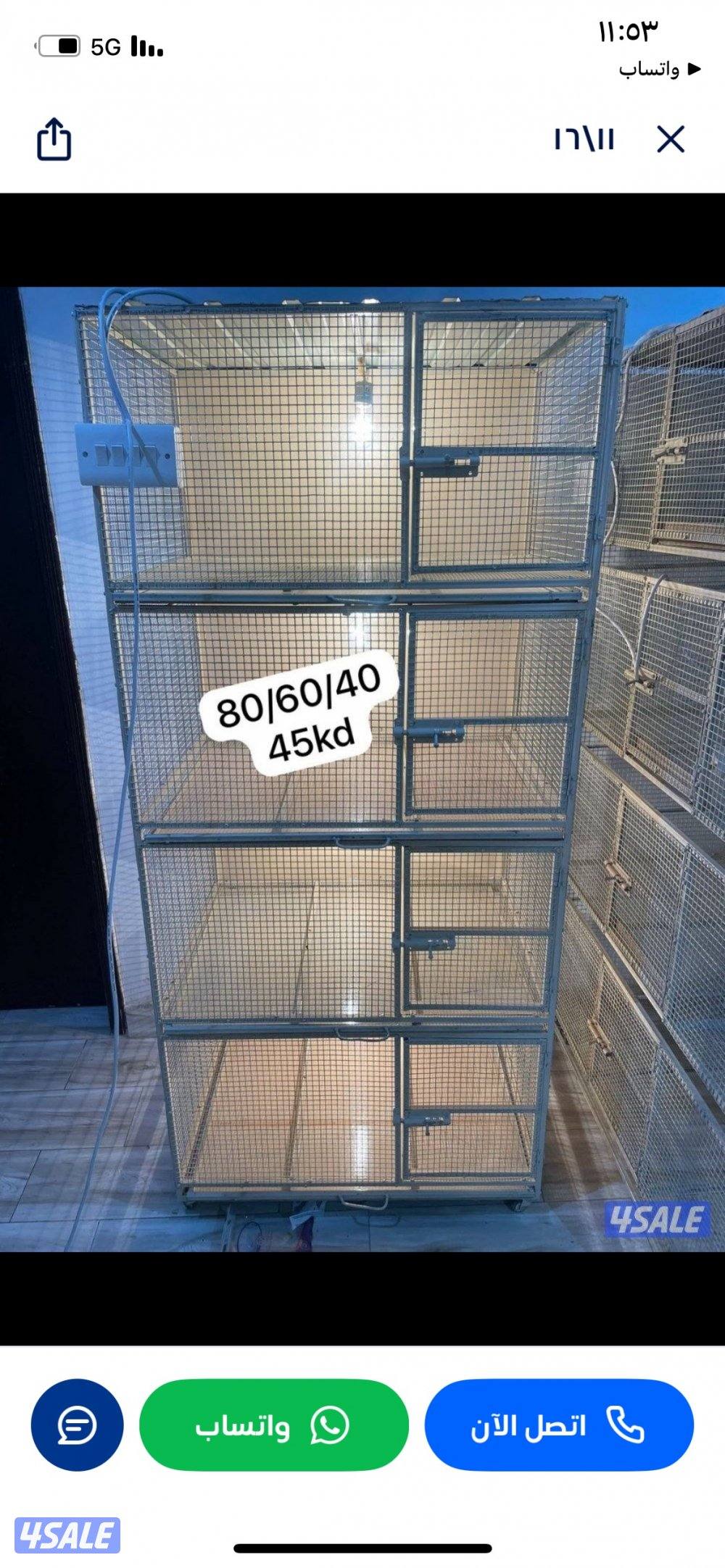 حضانة صيصان عالطلب13