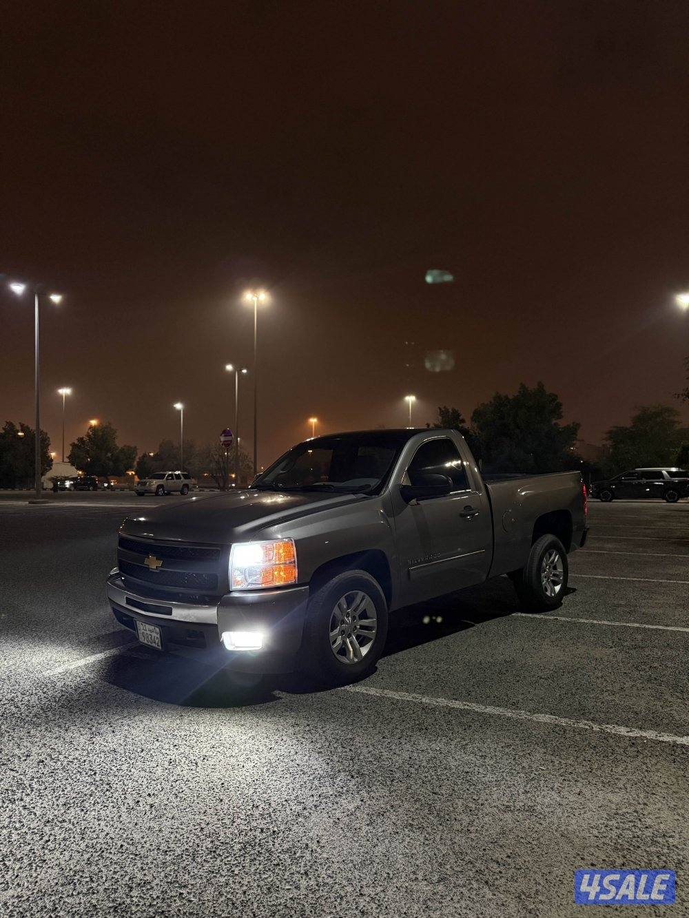 سلفرادو ٢٠١٣2