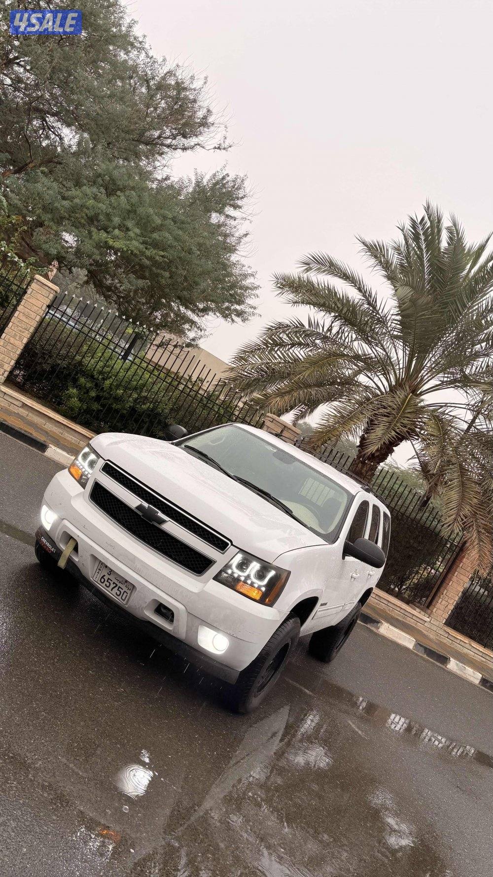 بيعة سريعة1