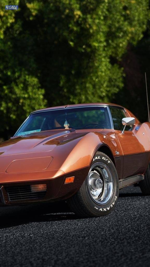 كورفيت ستانقراي corvette stingray1