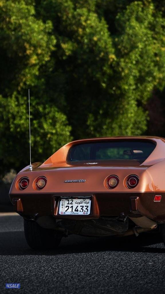 كورفيت ستانقراي corvette stingray3