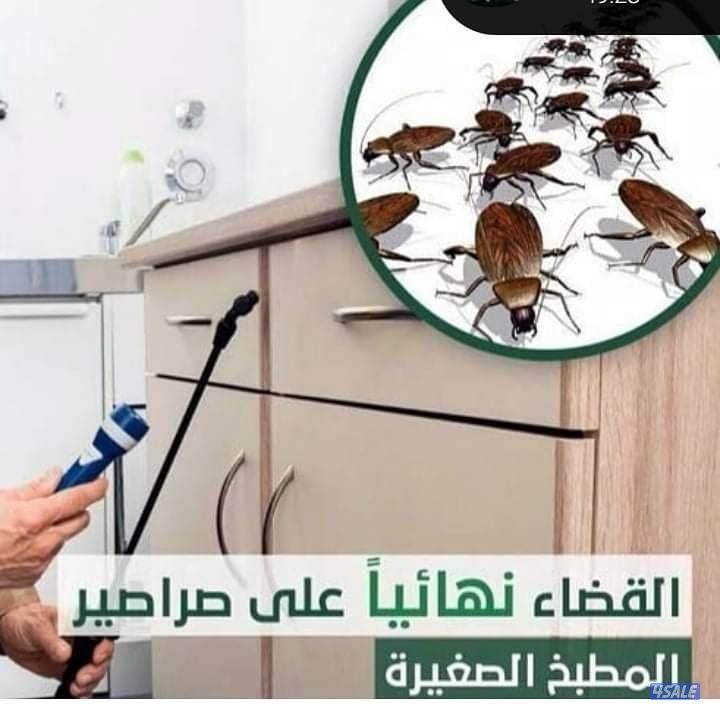 مكافحة جميع الحشرات والقوارض جميع مناطق الكويت0