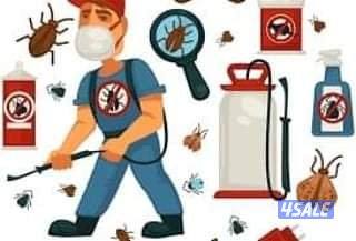 مكافحة جميع الحشرات والقوارض جميع مناطق الكويت1
