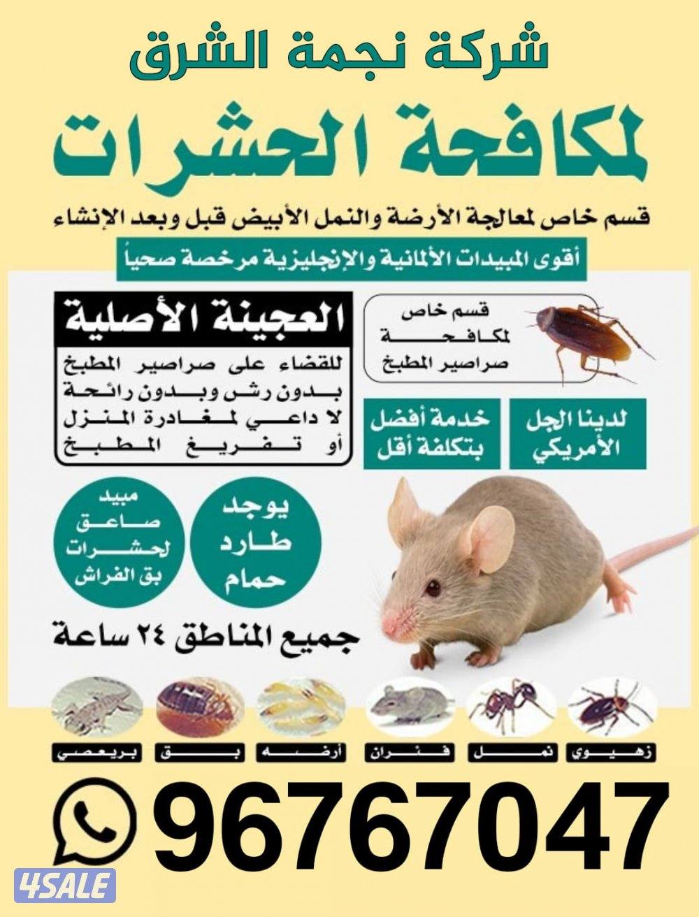 مكافحة جميع الحشرات والقوارض جميع مناطق الكويت2