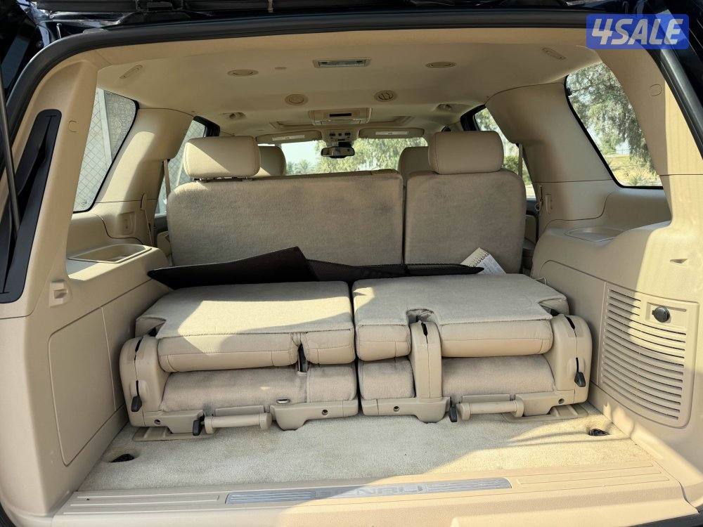 دينالي وارد الوكاله5