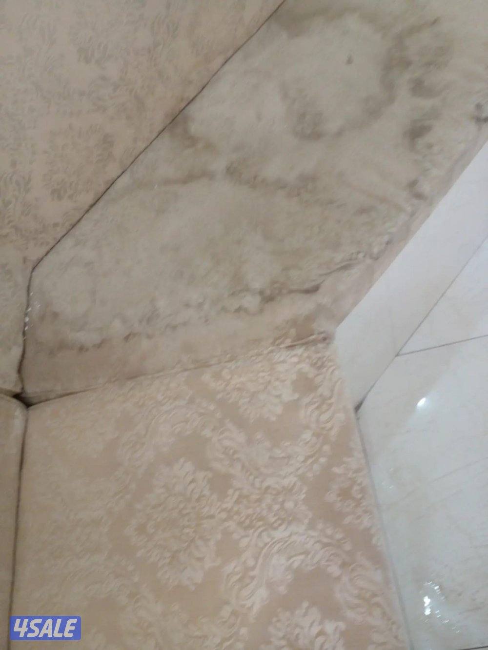 غسيل بالشامبو - تنظيف ناشف - غسيل سجاد برادي - اثاث - ك7