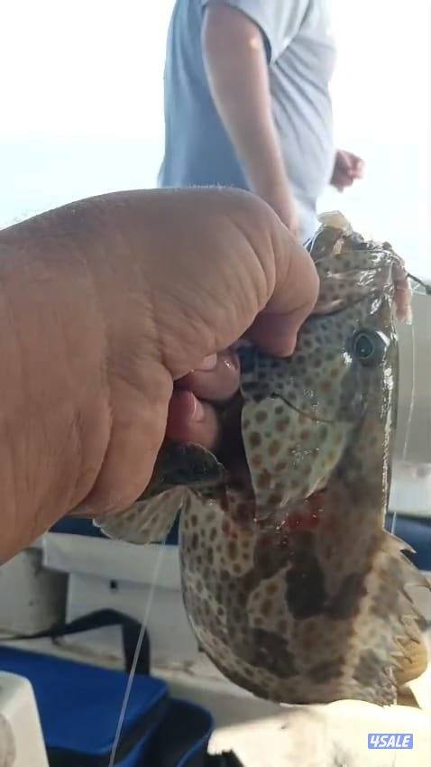 تاجير طراد حداق ايجار طراد رحلات بحرية2