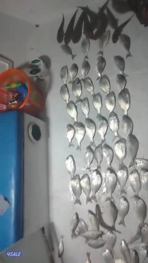 تاجير طراد حداق ايجار طراد رحلات بحرية7