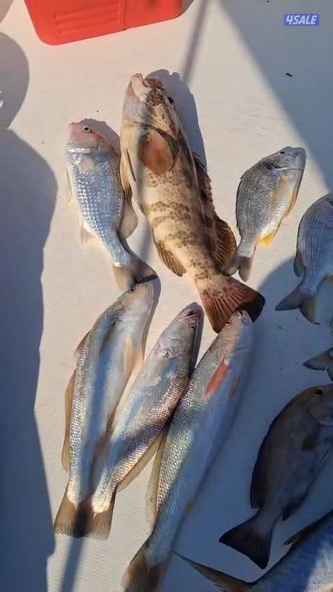 تاجير طراد حداق ايجار طراد رحلات بحرية13