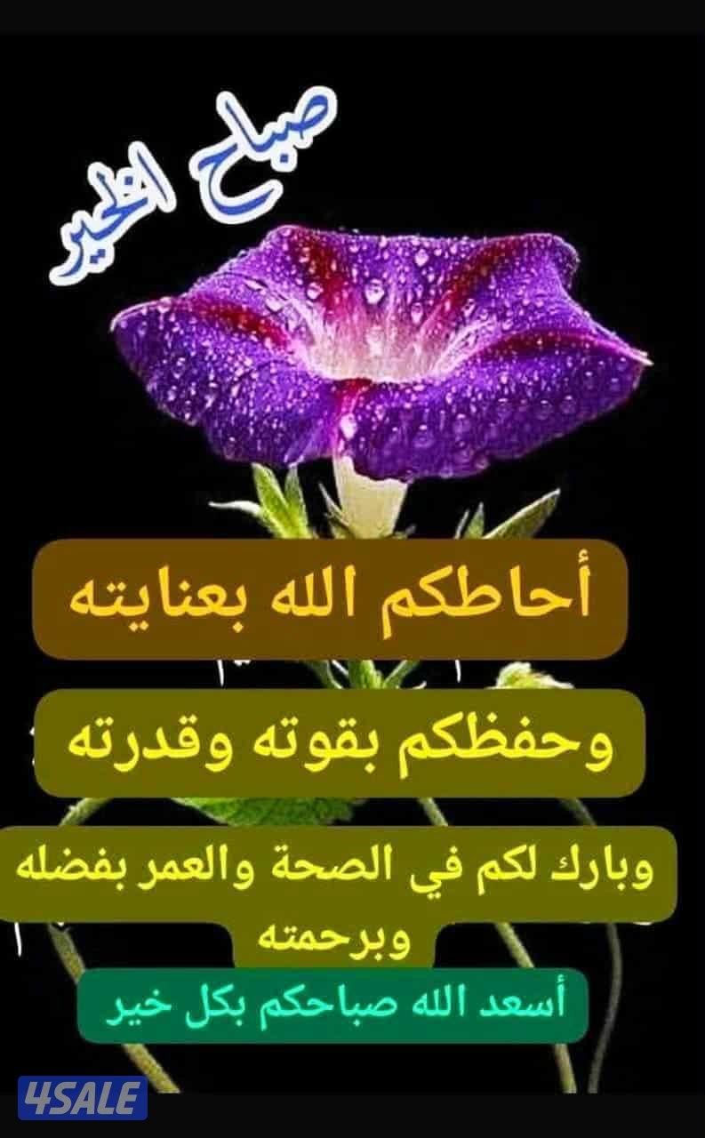 للايجار شقه بصباح الاحمد ٣غرف ٣حمام وصاله ومطبخ وغرفة خ0