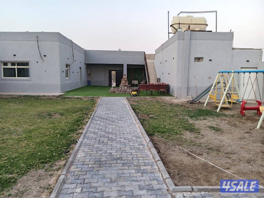 جاخور ب كبد ق ١١2