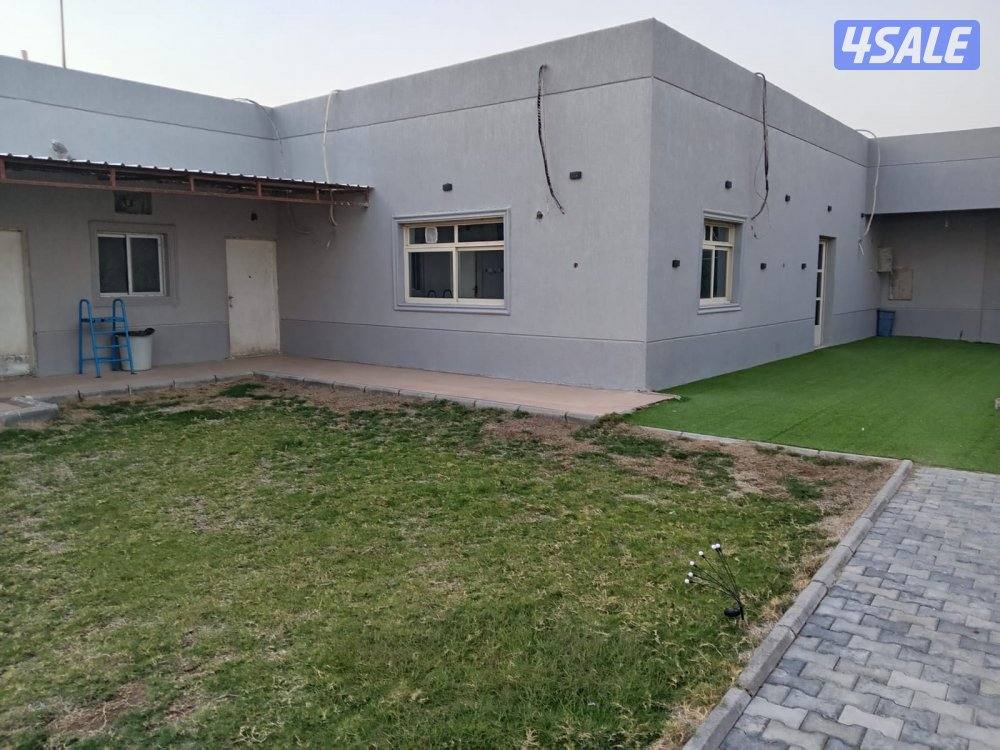 جاخور ب كبد ق ١١1