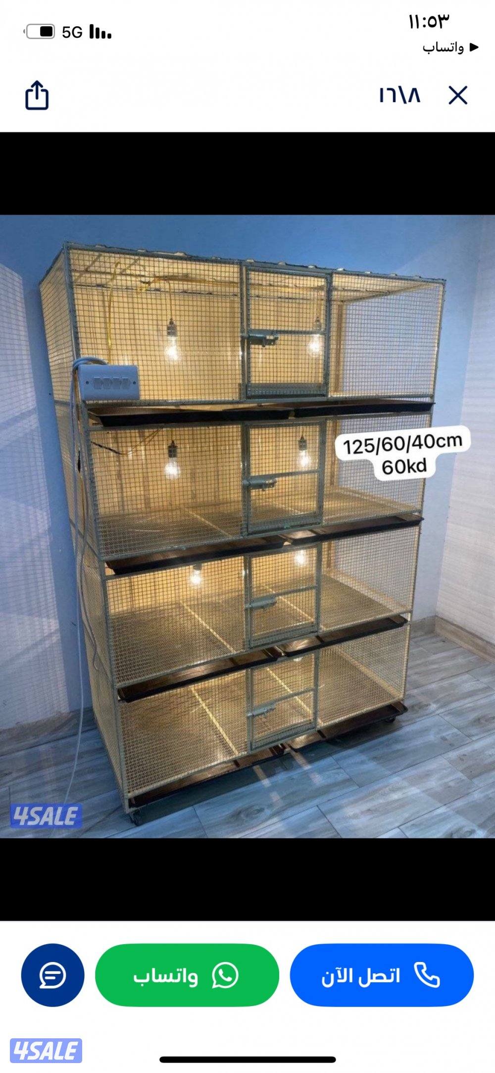 حضانة صيصان عالطلب14