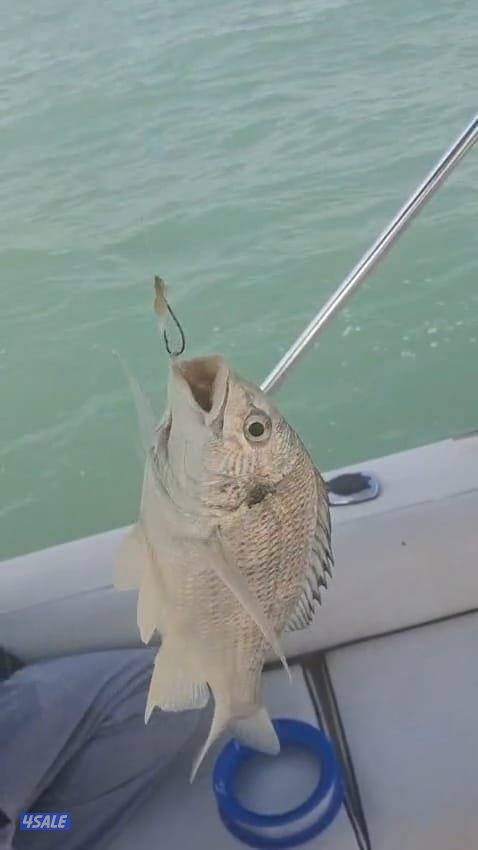 ايجار طراد حداق تاجير طراد رحلات بحرية4