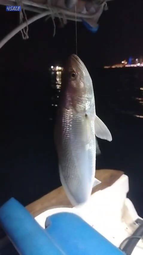 ايجار طراد حداق تاجير طراد رحلات بحرية7