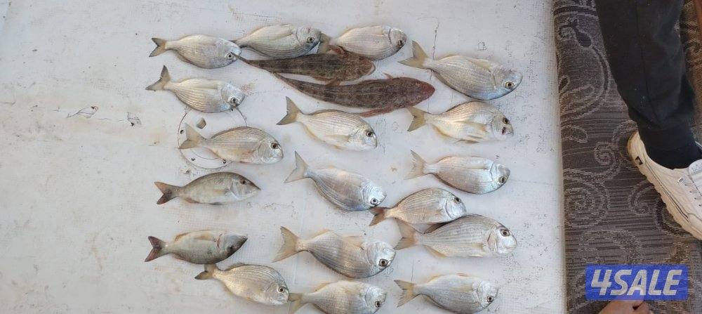 ايجار طراد حداق تاجير طراد رحلات بحرية13