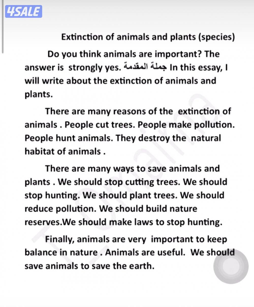 مدرس أول انجليزي ثانوى2