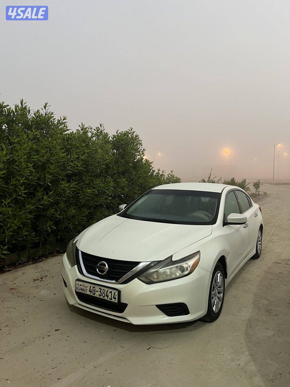 للبيع او للبدل التيما 20170