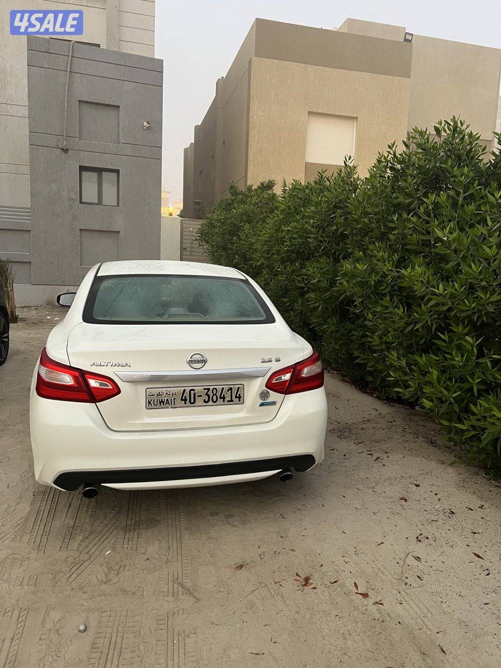 للبيع او للبدل التيما 20172