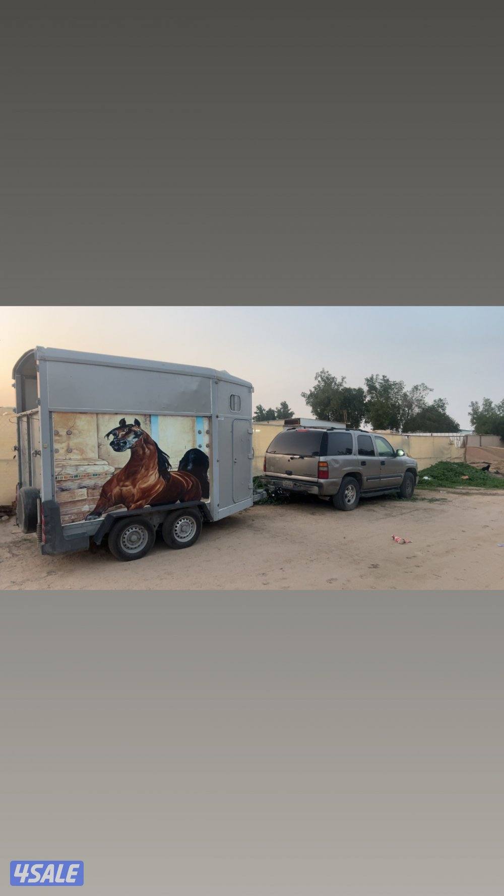 عربانه تضمين شهري واتساب تسعه سته تسعه تسعه سبعه ثمانيه ثمانيه سبعه0