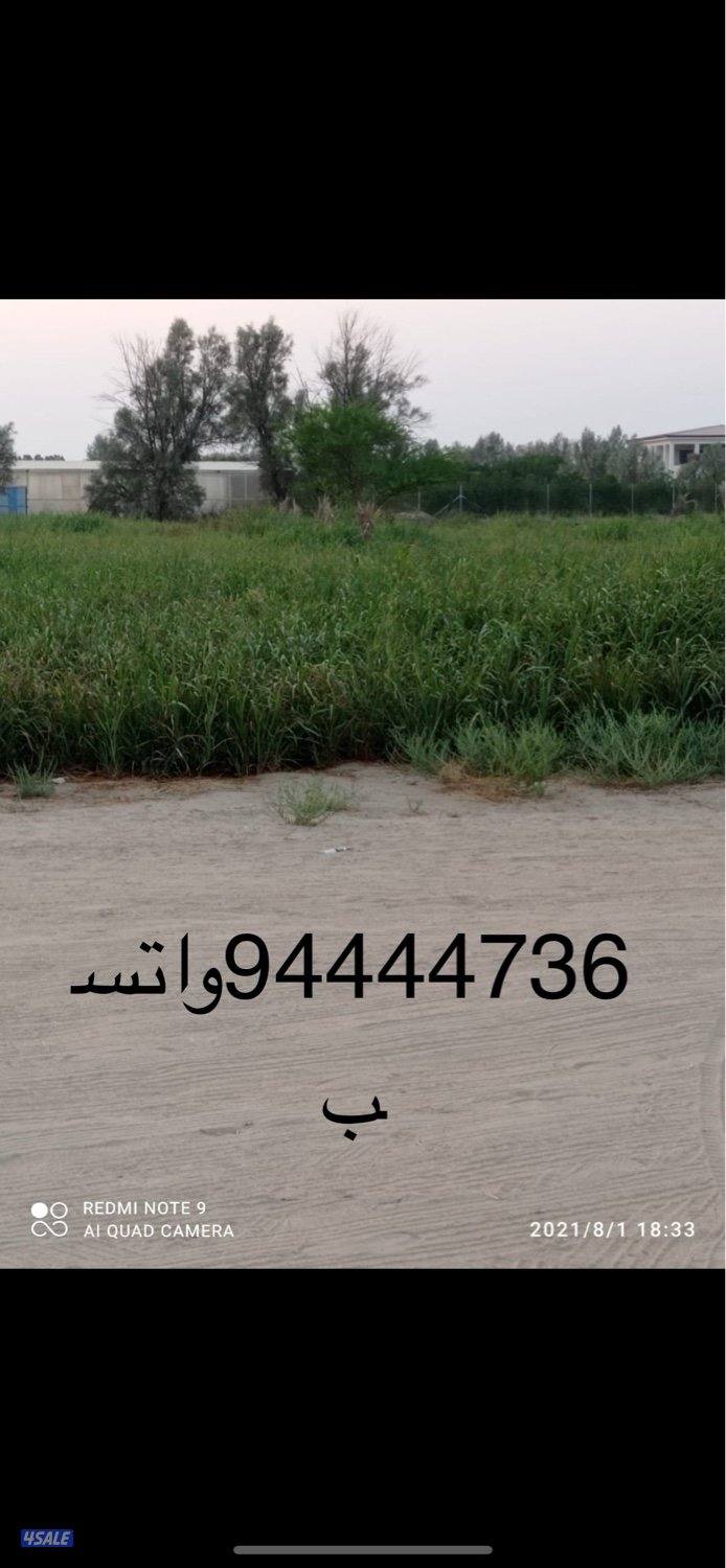 للبيع بلوبنك بالعبدلي2