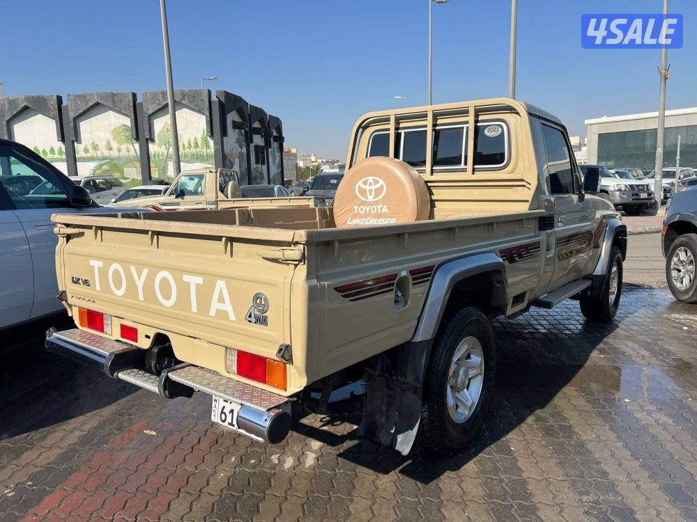 شاص / صبغ الوكالة3