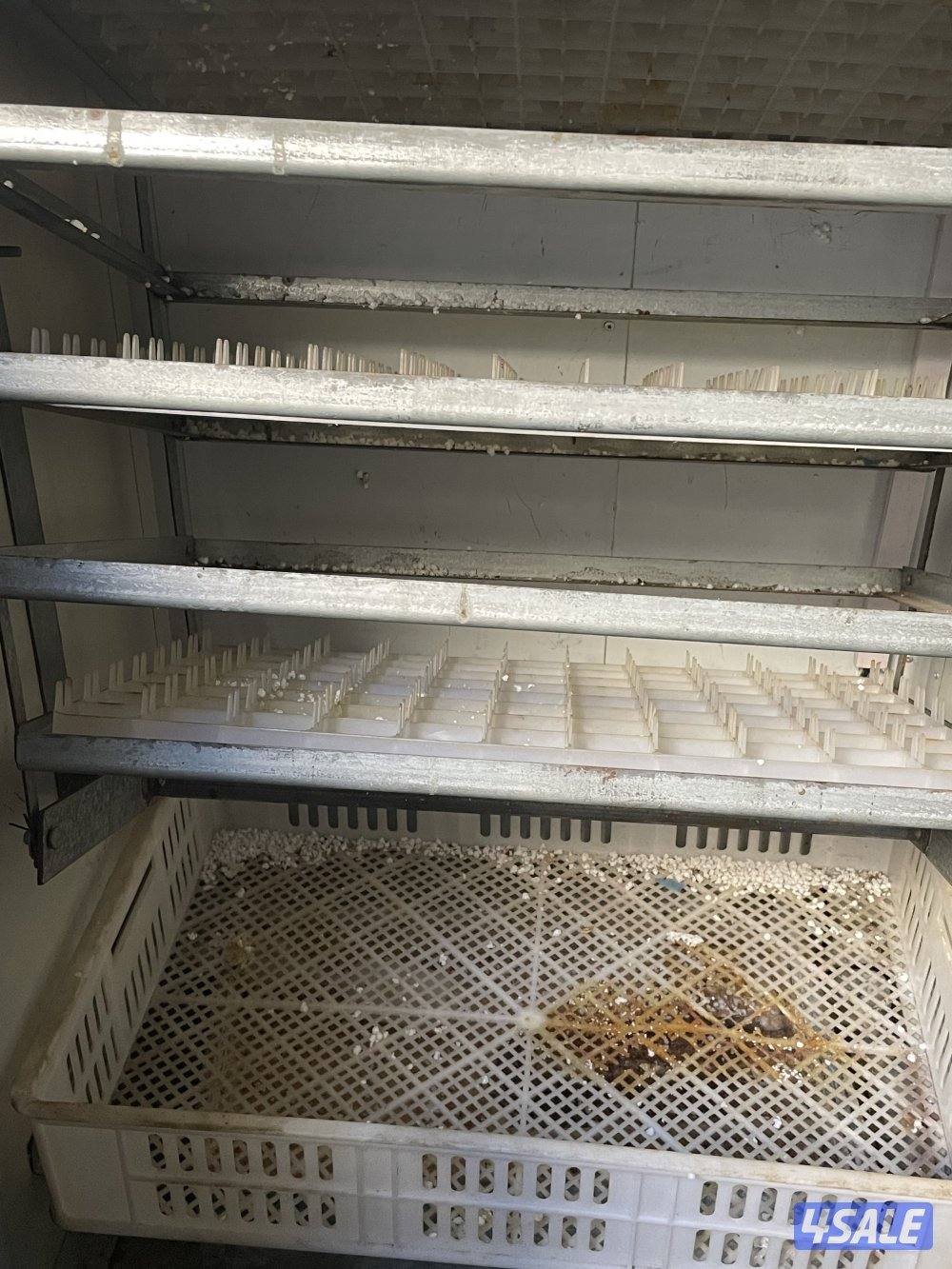 فقاسة ٤٠٠ بيضة1