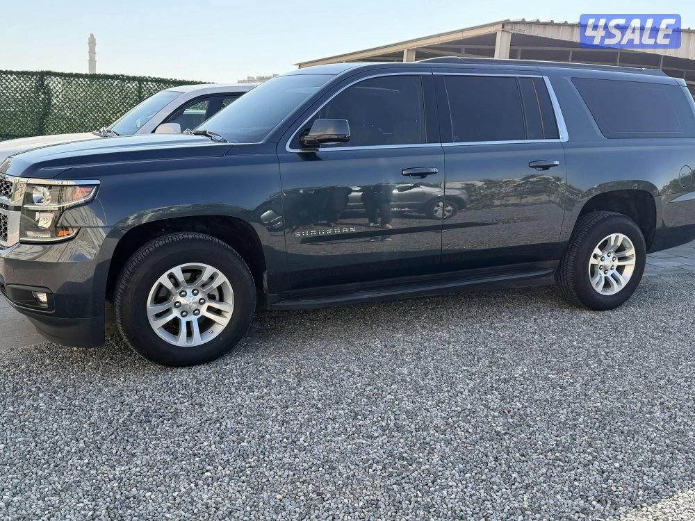 سوبربان صبغ وكالة 20193