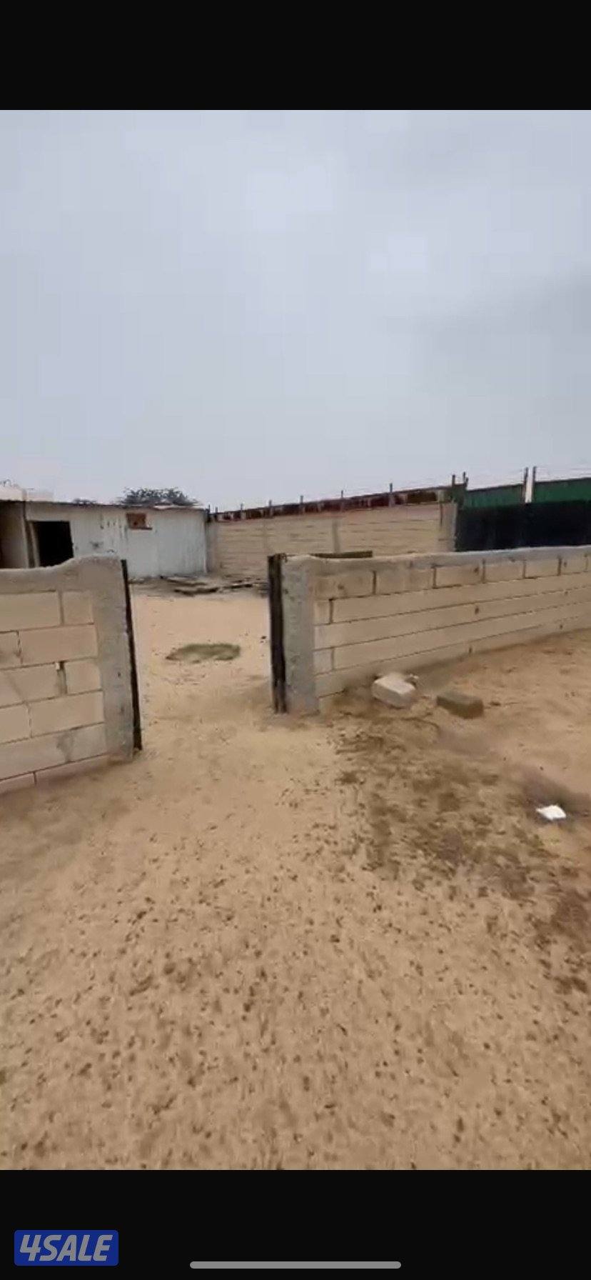 جاخور حلال غنم2