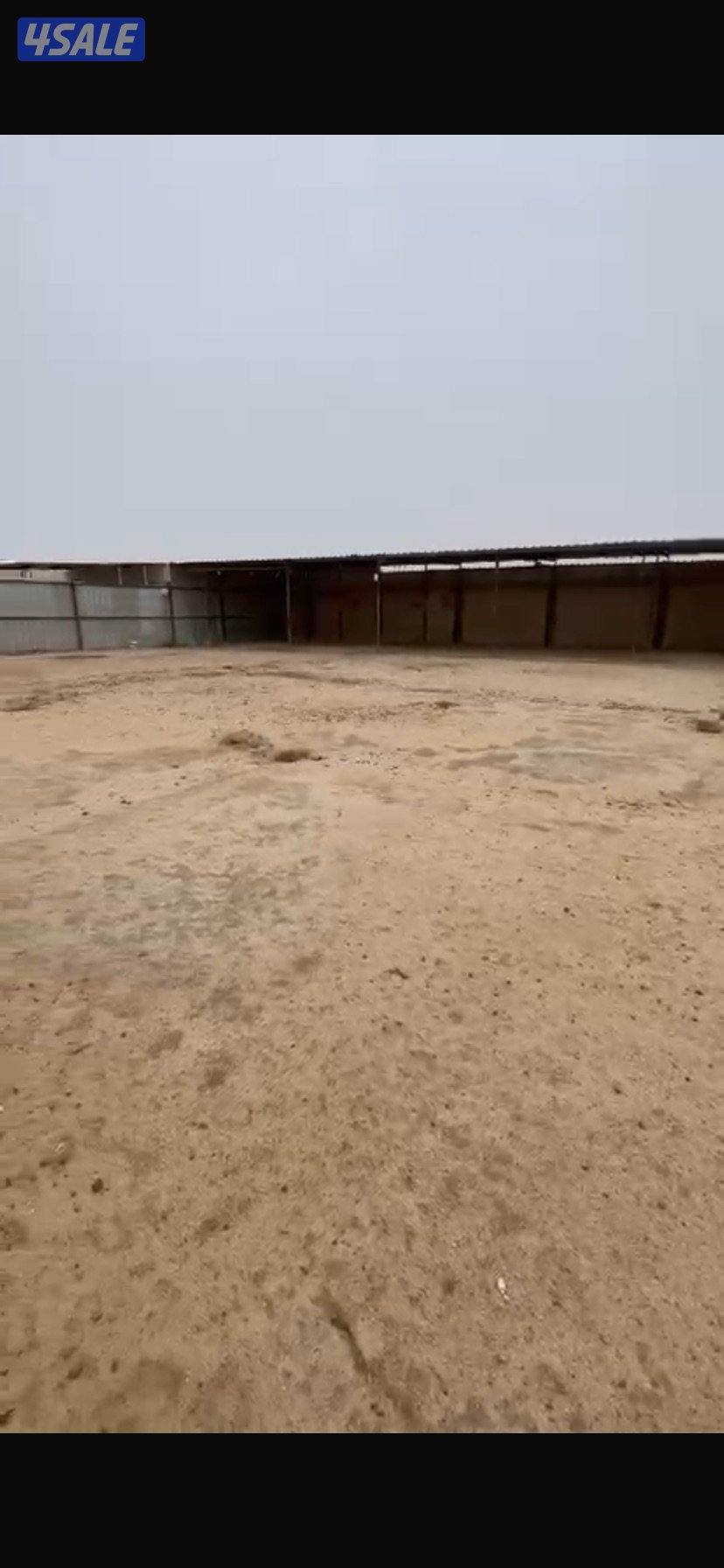 جاخور حلال غنم0