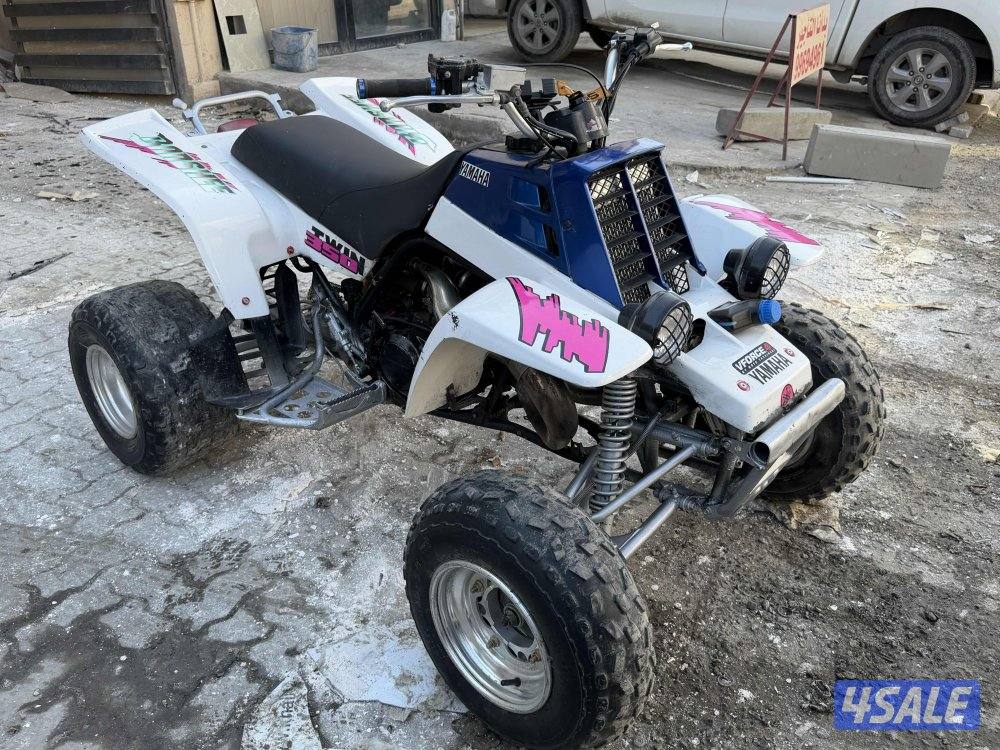 بانشي ٢٠٠٦1