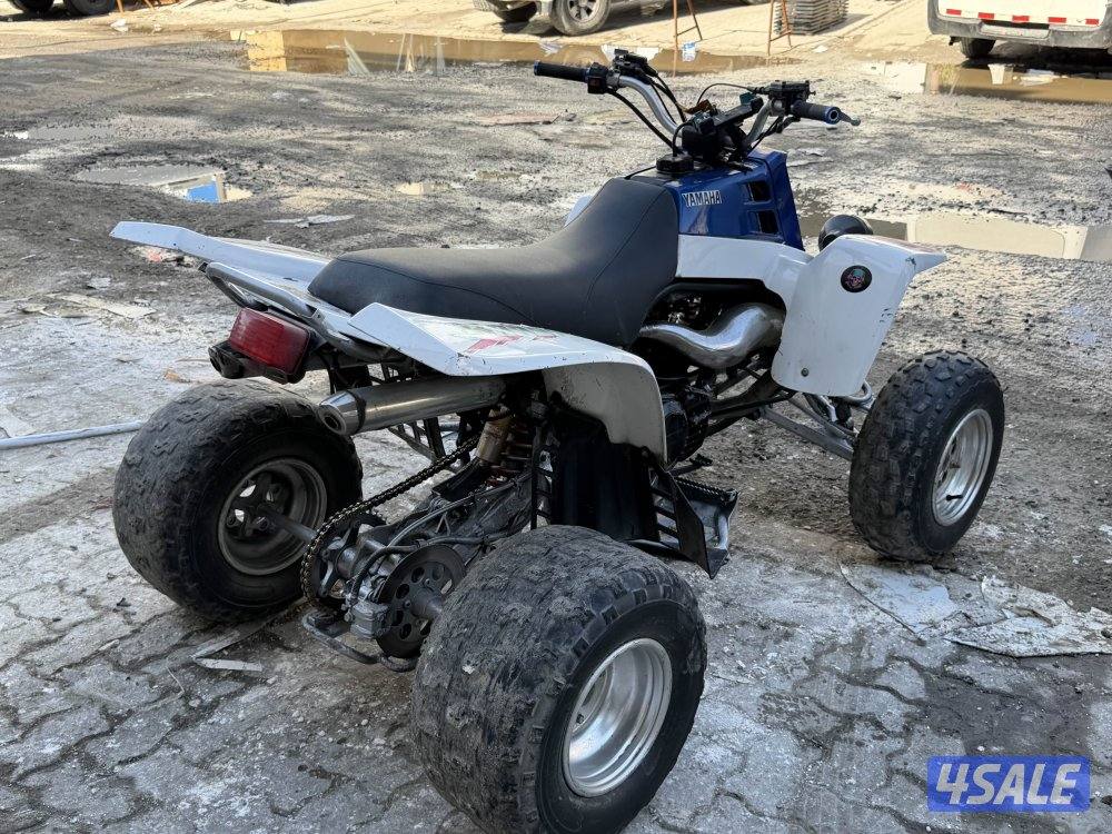 بانشي ٢٠٠٦2