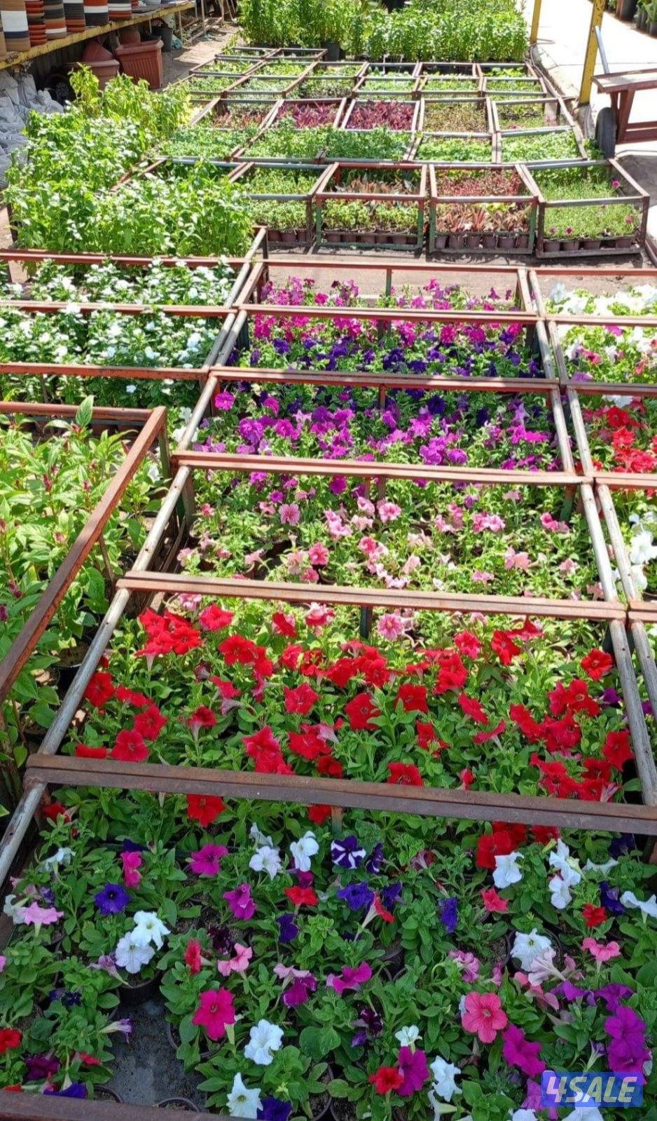 تنسيق حدائق  داخليه وخارجيه بارخص الاسعار5