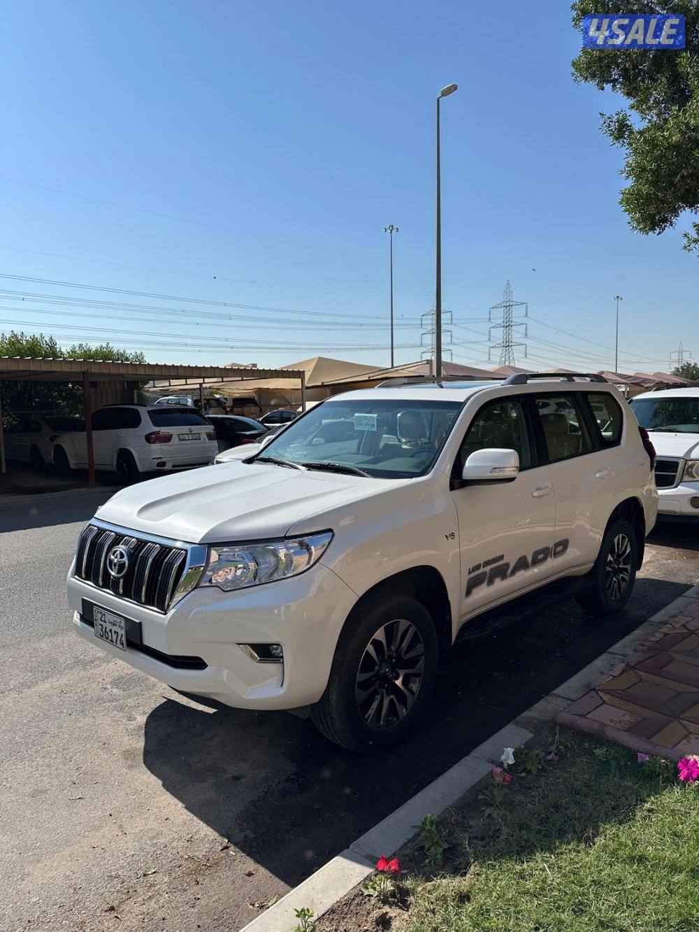 برادو 2022 صبغ الوكاله1