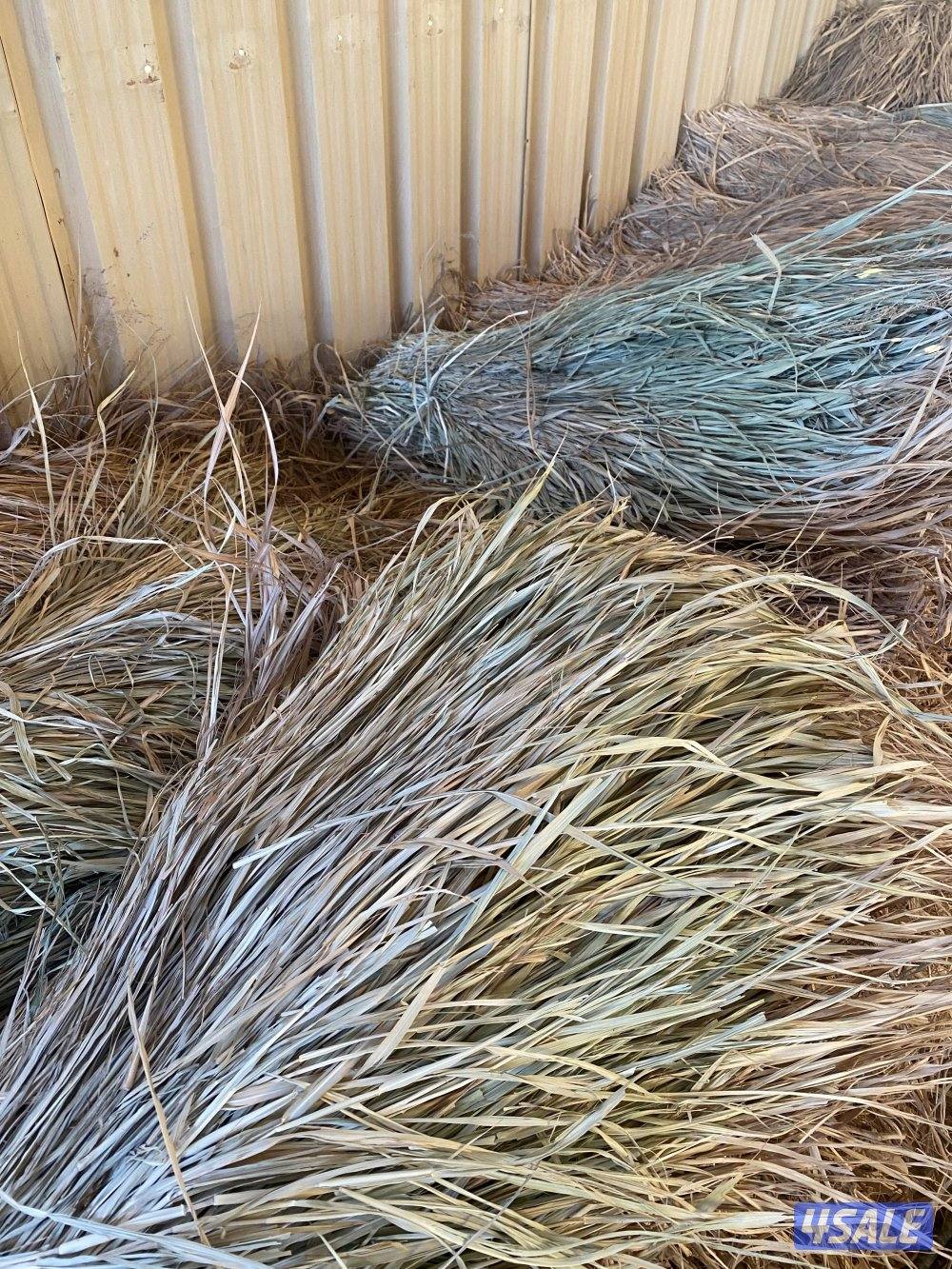 بلو بنك ناشف الربطه د500 فلس0