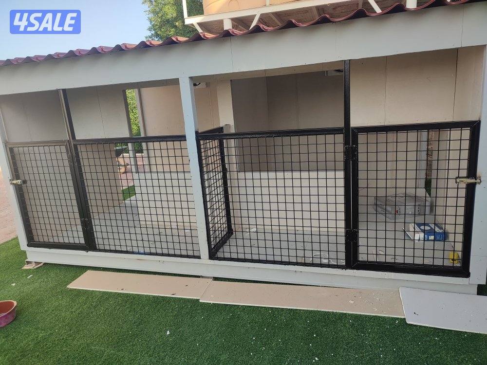 haddad sabir hindi12