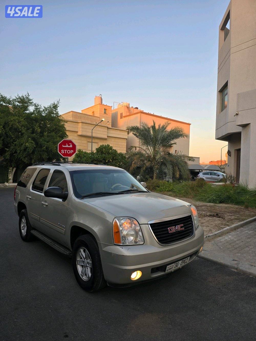 يوكن 2013 .. صبغ الوكاله6