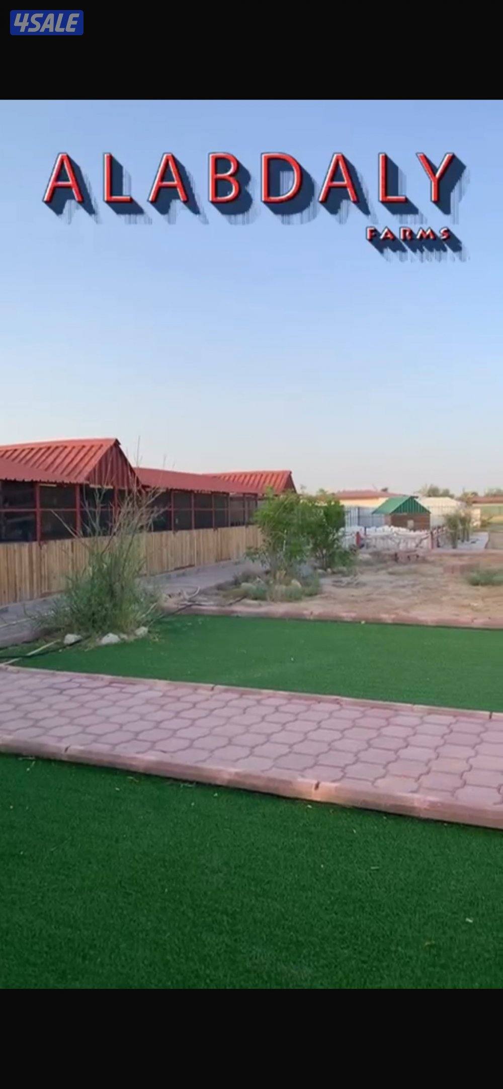 للبيع مزرعه قطعه ٢ مساحتها ٢٥ مقسمه ١٢،٥ ب ١٢،٥5
