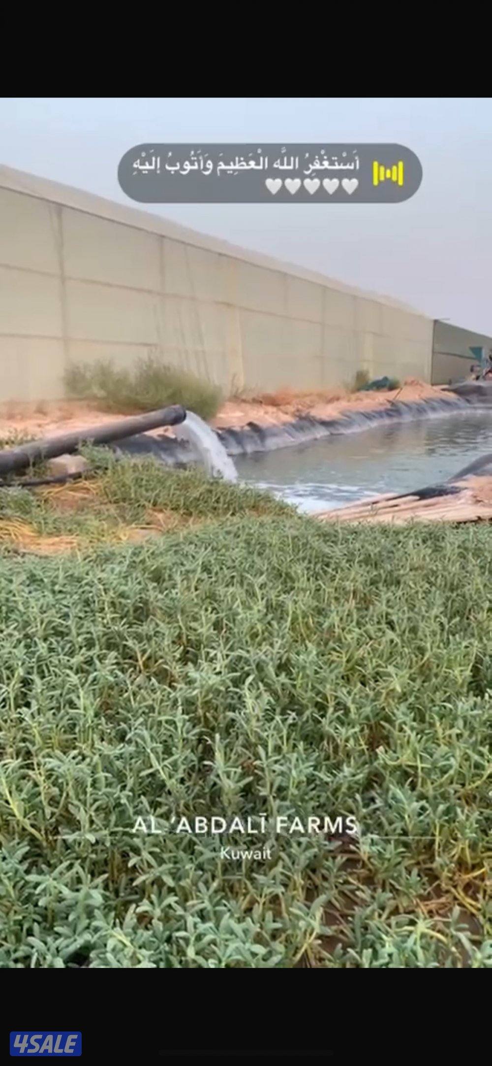 للبيع مزرعه قطعه ٢ مساحتها ٢٥ مقسمه ١٢،٥ ب ١٢،٥7