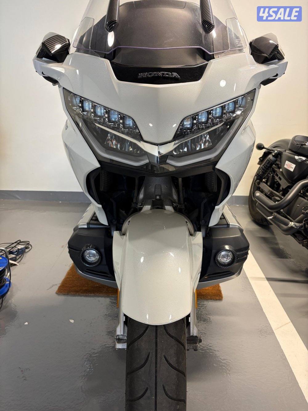 جولد وينغ 20180