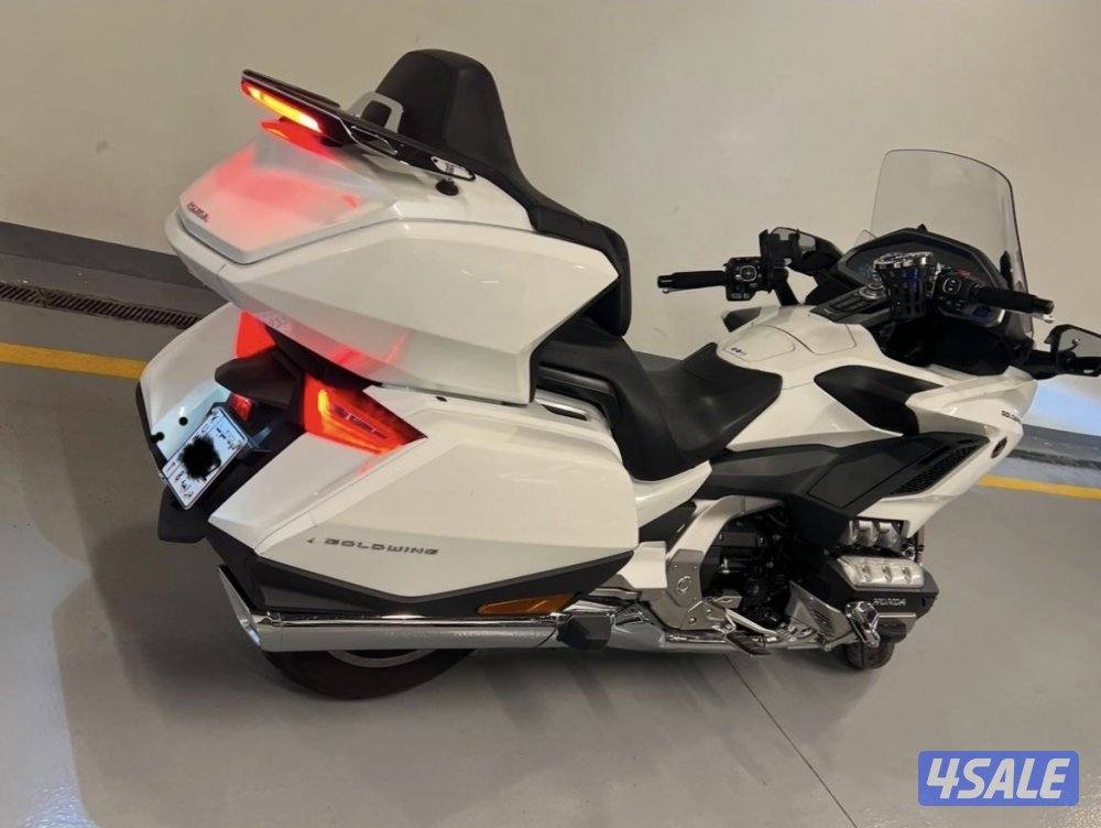 جولد وينغ 20181