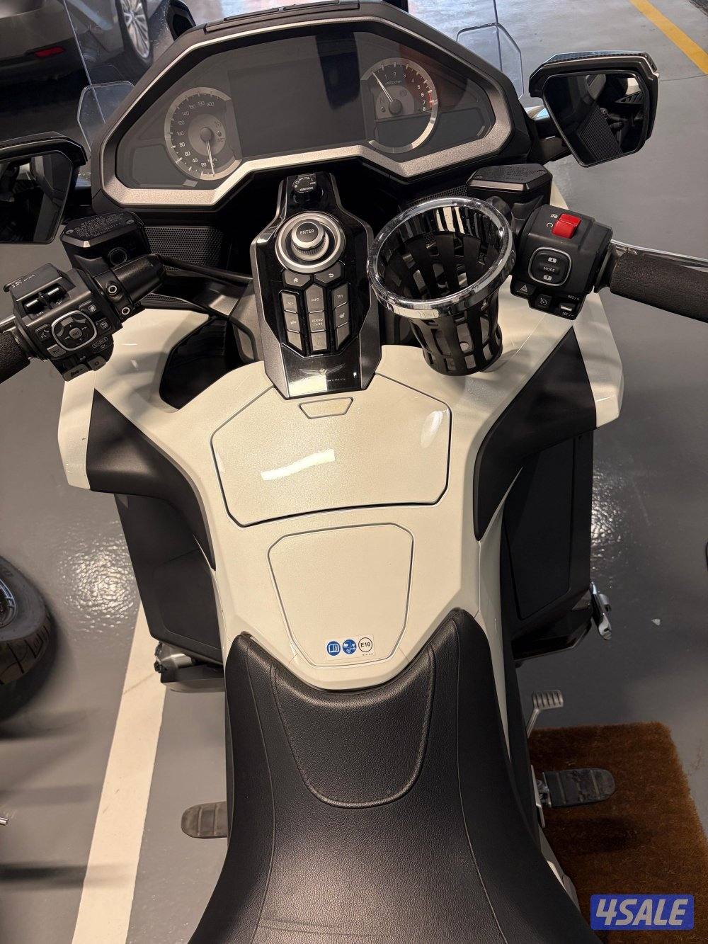 جولد وينغ 20182