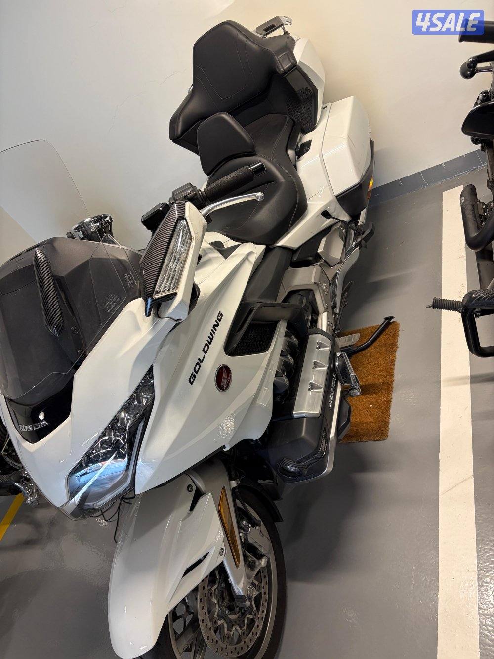 جولد وينغ 20184