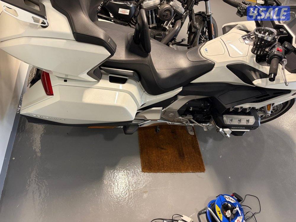 جولد وينغ 20185