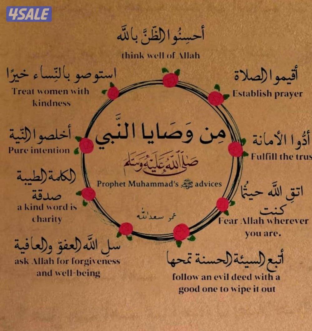 مدرس رياضيات لجميع المراحل التعليمية0