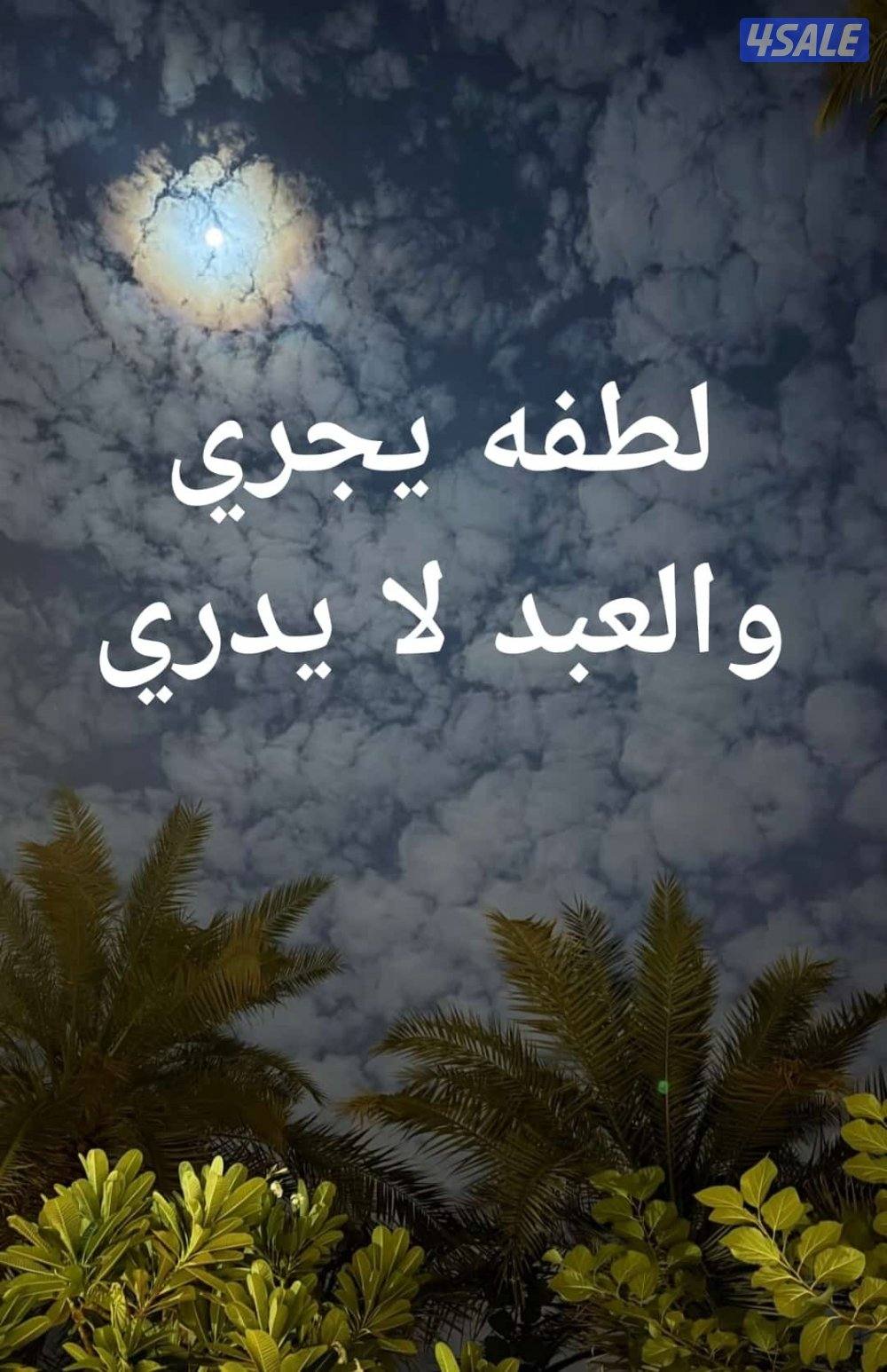 للبيع عماره في السالميه♦️♦️0