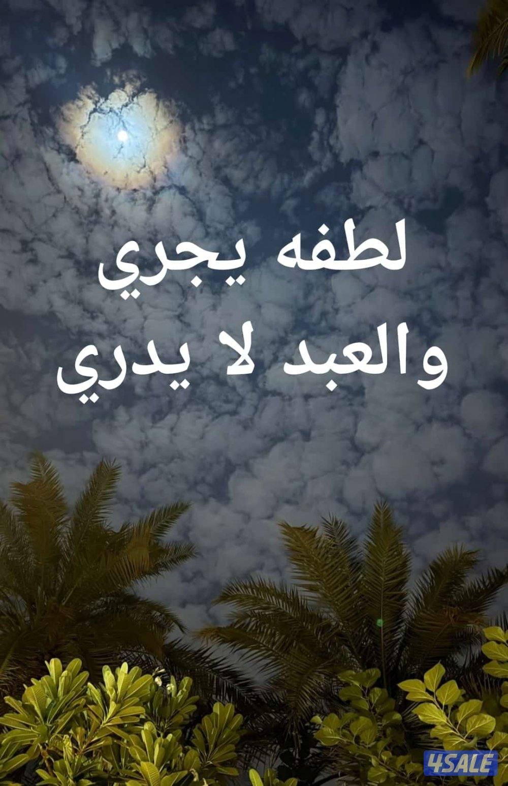 للايجار شقه نظيفه♦️♦️0