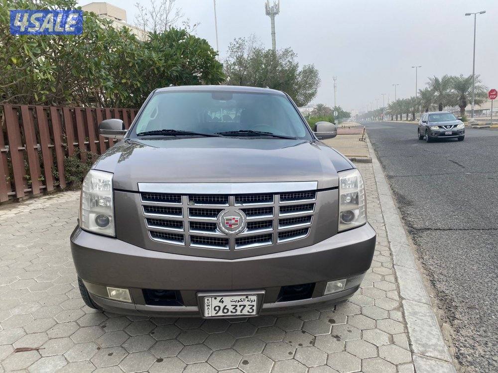 كدلك سكاليد صبغ الوكاله الفل0