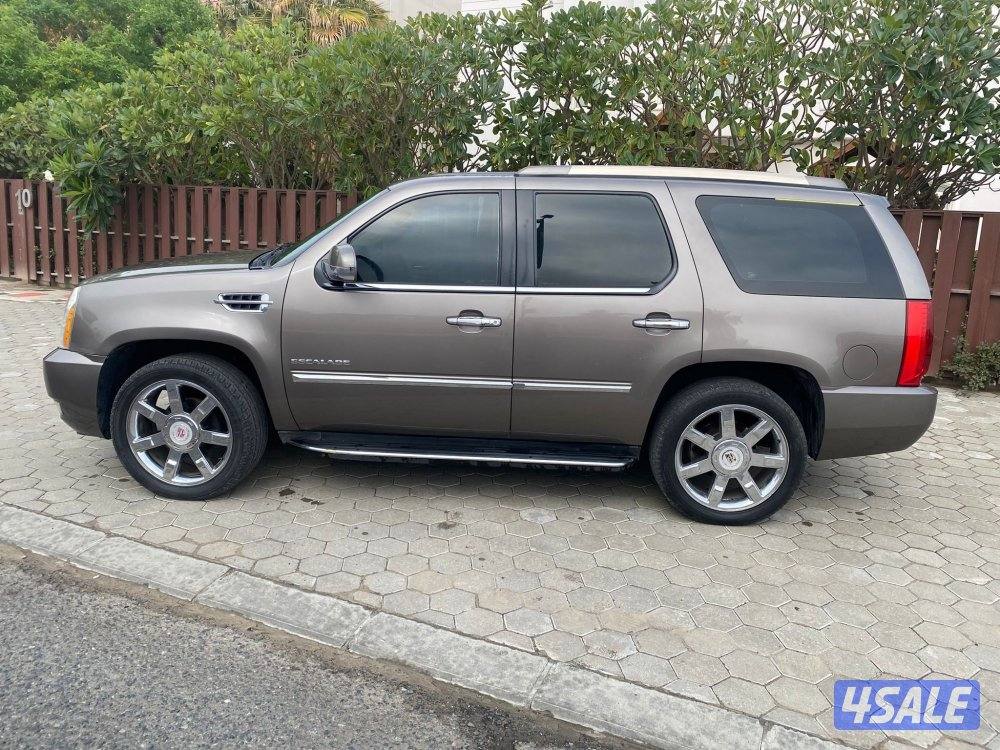 كدلك سكاليد صبغ الوكاله الفل1